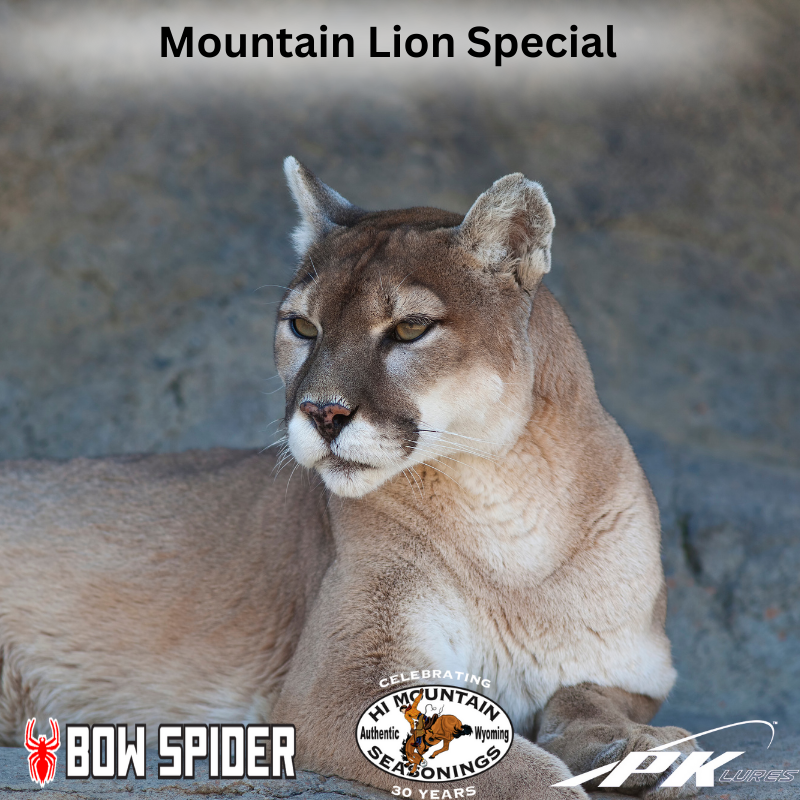 RAD Cast Rewind - Mountains Lions with Large Carnivore Expert, Dr. Dan Thompson
