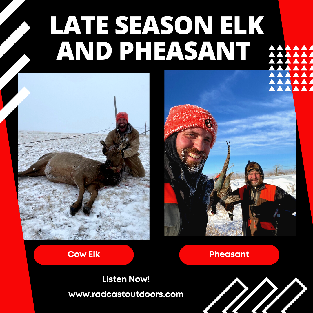 Late Season Cow Elk and Pheasant Hunting Episode 98