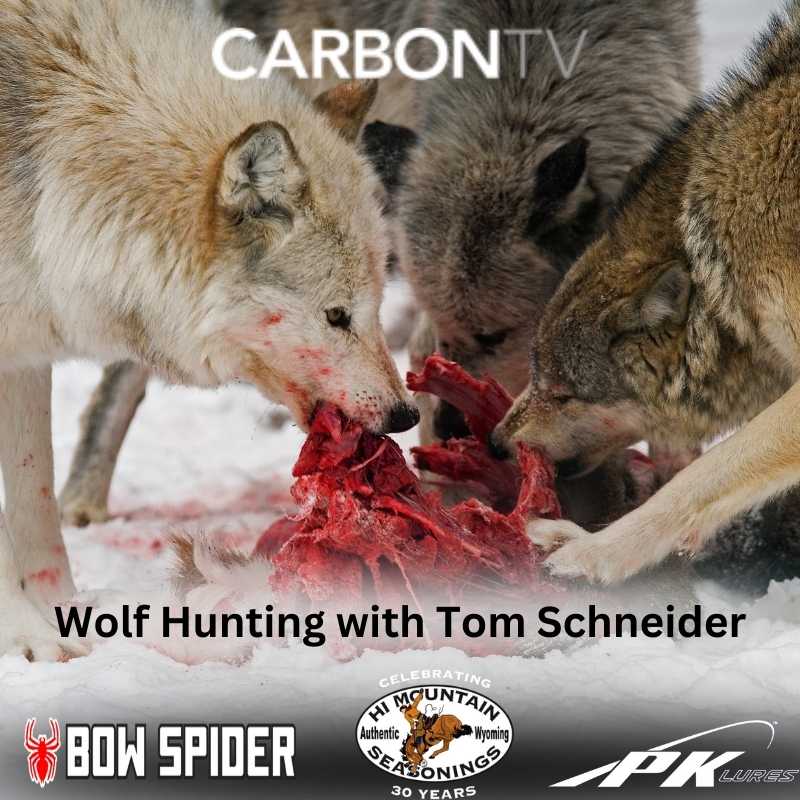 Wolf Hunting with Tom Schneider from Stuck N The Rut TV